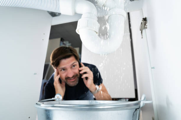 Best Sprinkler Systems  in Bernalillo, NM